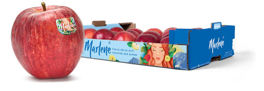 Il packaging d'autore stampato che unisce colore aziendale e illustrazione. Fuente: Marlene